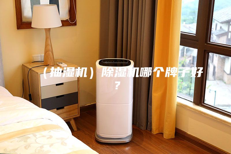 （抽濕機(jī)）除濕機(jī)哪個(gè)牌子好？