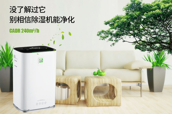 清明防潮大作戰，這些你都知道嗎？