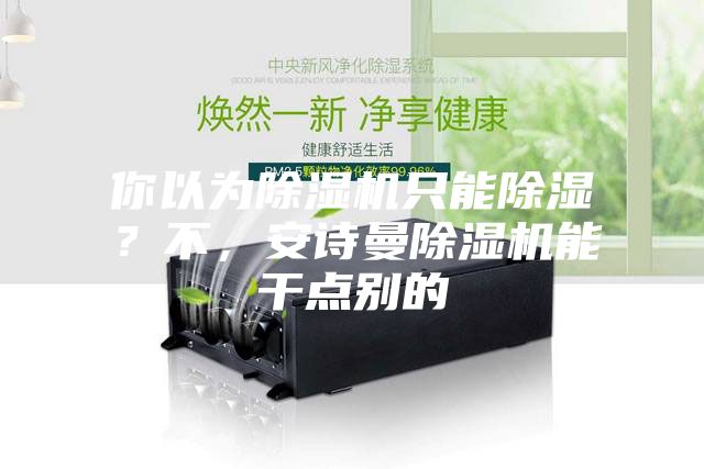 你以為除濕機(jī)只能除濕？不，安詩曼除濕機(jī)能干點(diǎn)別的