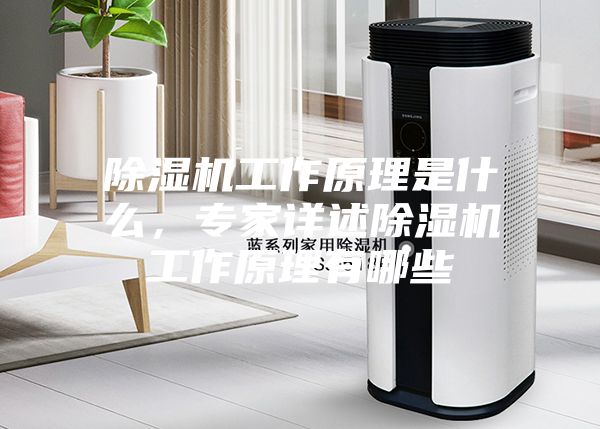 除濕機(jī)工作原理是什么，專家詳述除濕機(jī)工作原理有哪些