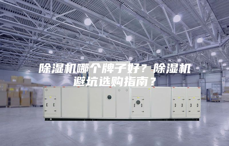 除濕機(jī)哪個(gè)牌子好？除濕機(jī)避坑選購指南？
