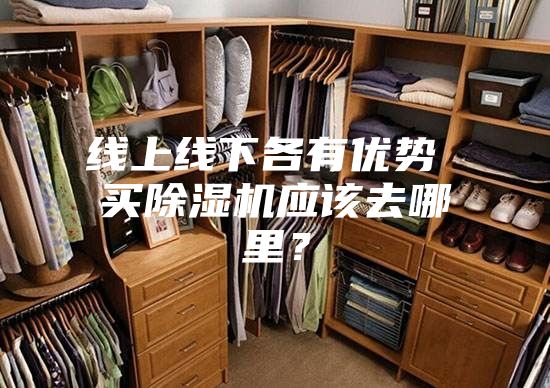 線上線下各有優勢 買除濕機應該去哪里？
