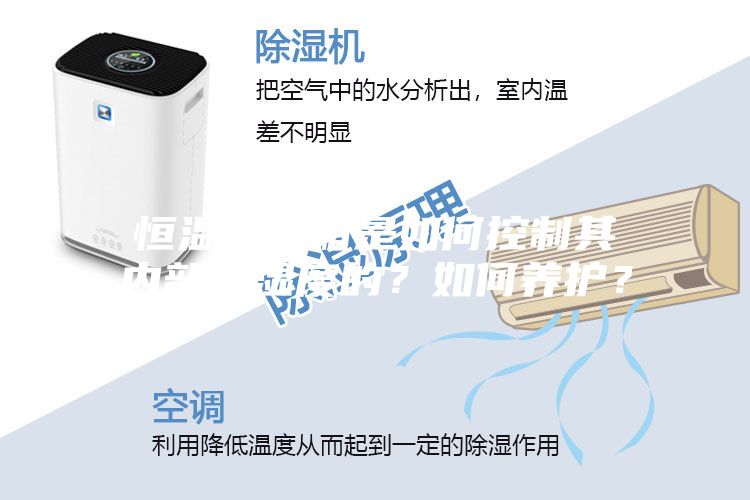 恒溫恒濕箱是如何控制其內部溫濕度的？如何養護？
