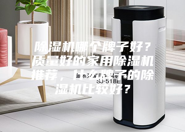 除濕機哪個牌子好？質量好的家用除濕機推薦，什么牌子的除濕機比較好？