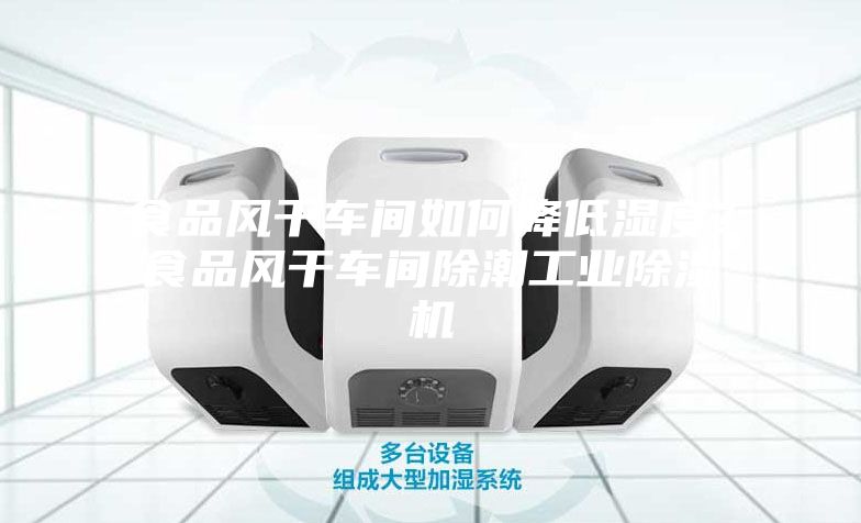 食品風干車間如何降低濕度？食品風干車間除潮工業除濕機