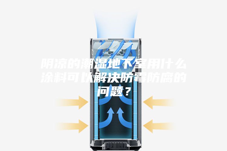 陰涼的潮濕地下室用什么涂料可以解決防霉防腐的問題？