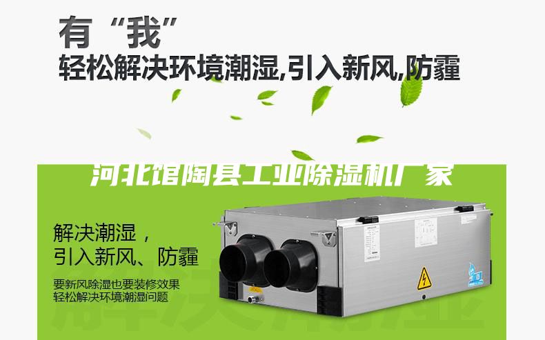河北館陶縣工業(yè)除濕機廠家