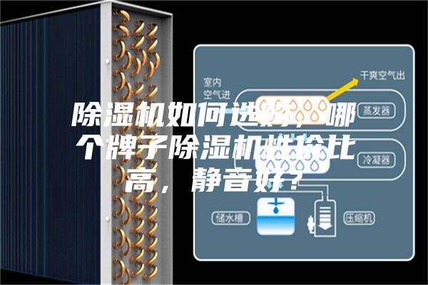 除濕機如何選購，哪個牌子除濕機性價比高，靜音好？