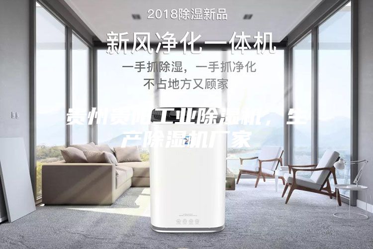 貴州貴陽工業(yè)除濕機，生產除濕機廠家