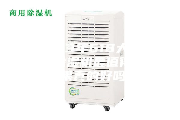 2023年618大促，哪款除濕機最值得買？效果真的好嗎？