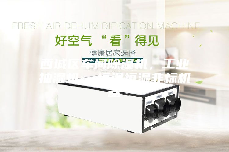 西城區車間除濕機，工業抽濕機  恒溫恒濕非標機器