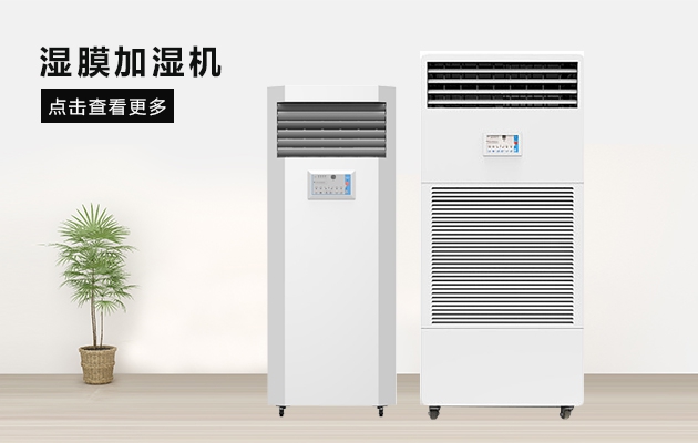 縱使挺過冰天雪地，但真未必熬得過回南天……
