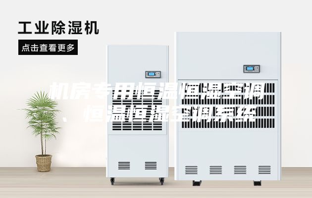 機(jī)房專(zhuān)用恒溫恒濕空調(diào)、恒溫恒濕空調(diào)系統(tǒng)