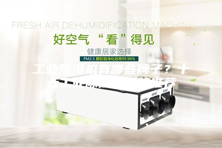 工業(yè)除濕機有哪些牌子？十大工業(yè)除濕機品牌推薦
