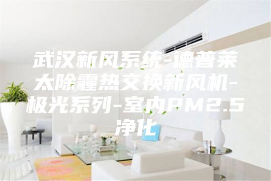 武漢新風系統-德普萊太除霾熱交換新風機-極光系列-室內PM2.5凈化