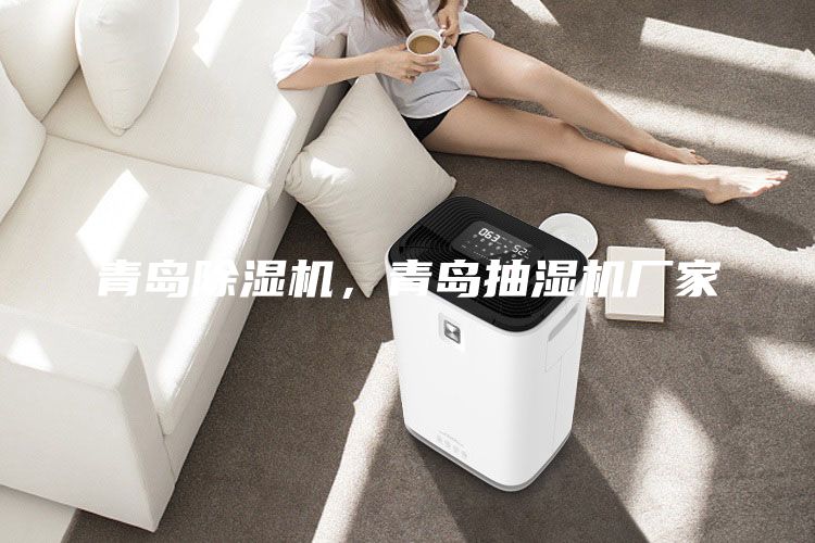 青島除濕機(jī)，青島抽濕機(jī)廠(chǎng)家