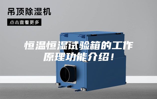 恒溫恒濕試驗(yàn)箱的工作原理功能介紹！