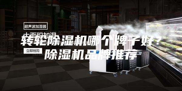轉輪除濕機哪個牌子好?除濕機品牌推薦