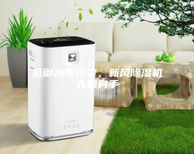 抵御梅雨侵襲，新風除濕機大顯身手