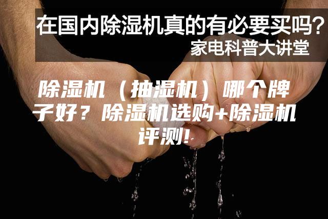 除濕機(抽濕機)哪個牌子好?除濕機選購+除濕機評測!