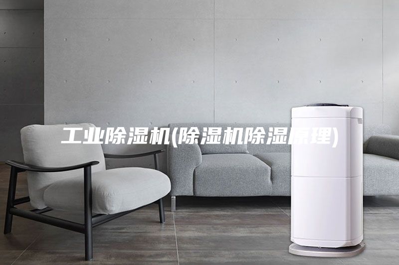 工業除濕機(除濕機除濕原理)