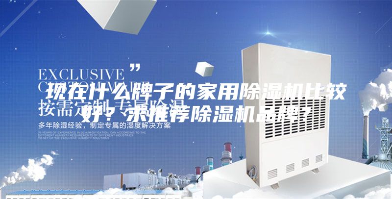 現在什么牌子的家用除濕機比較好？求推薦除濕機品牌？