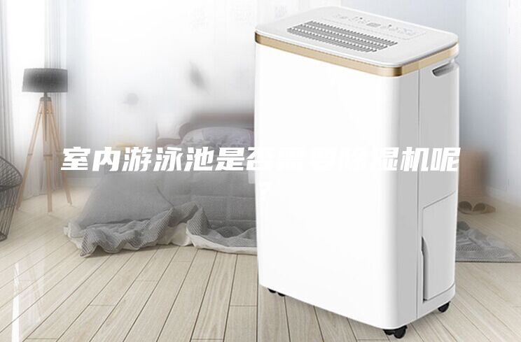 室內游泳池是否需要除濕機呢？
