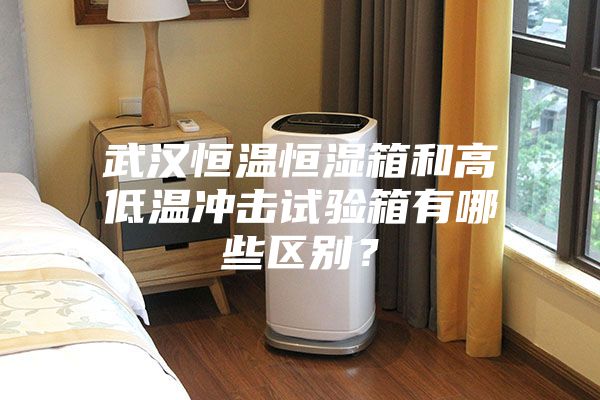 武漢恒溫恒濕箱和高低溫沖擊試驗(yàn)箱有哪些區(qū)別？