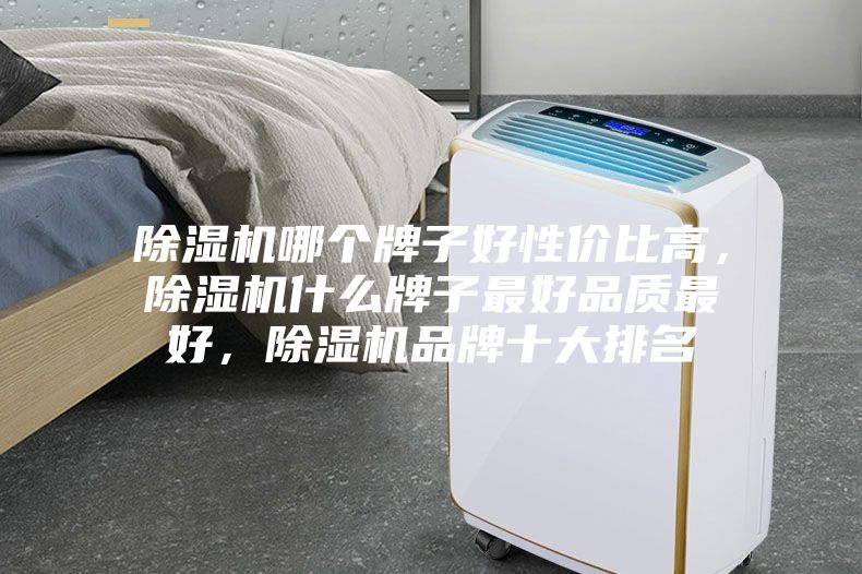 除濕機哪個牌子好性價比高，除濕機什么牌子最好品質最好，除濕機品牌十大排名