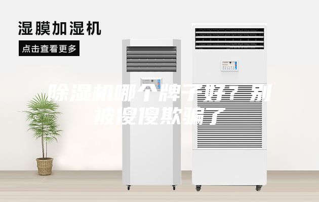 除濕機哪個牌子好？別被傻傻欺騙了