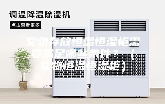 文物存放恒溫恒濕柜需要滿足哪些條件？（文物恒溫恒濕柜）