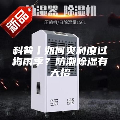 科普丨如何爽利度過梅雨季？防潮除濕有大招