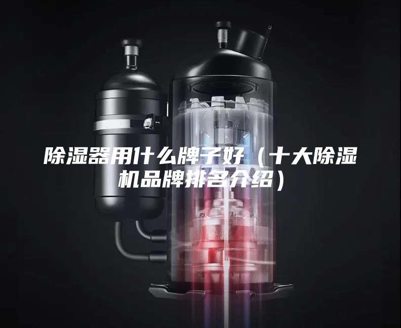 除濕器用什么牌子好（十大除濕機(jī)品牌排名介紹）