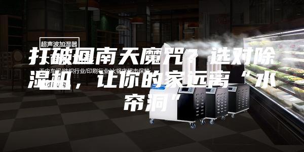 打破回南天魔咒？選對除濕機(jī)，讓你的家遠(yuǎn)離“水簾洞”