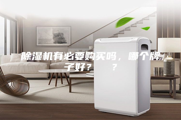 除濕機(jī)有必要購買嗎，哪個(gè)牌子好？  ？