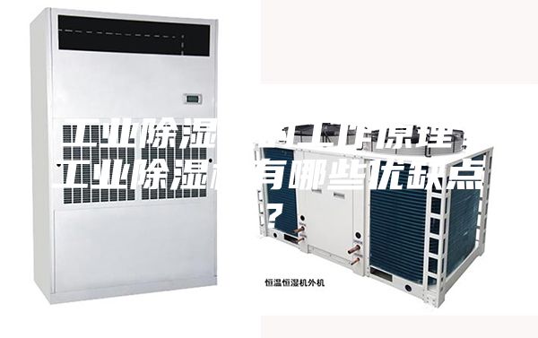 工業(yè)除濕機的工作原理？工業(yè)除濕機有哪些優(yōu)缺點？