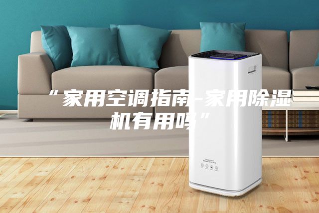 “家用空調指南-家用除濕機有用嗎”
