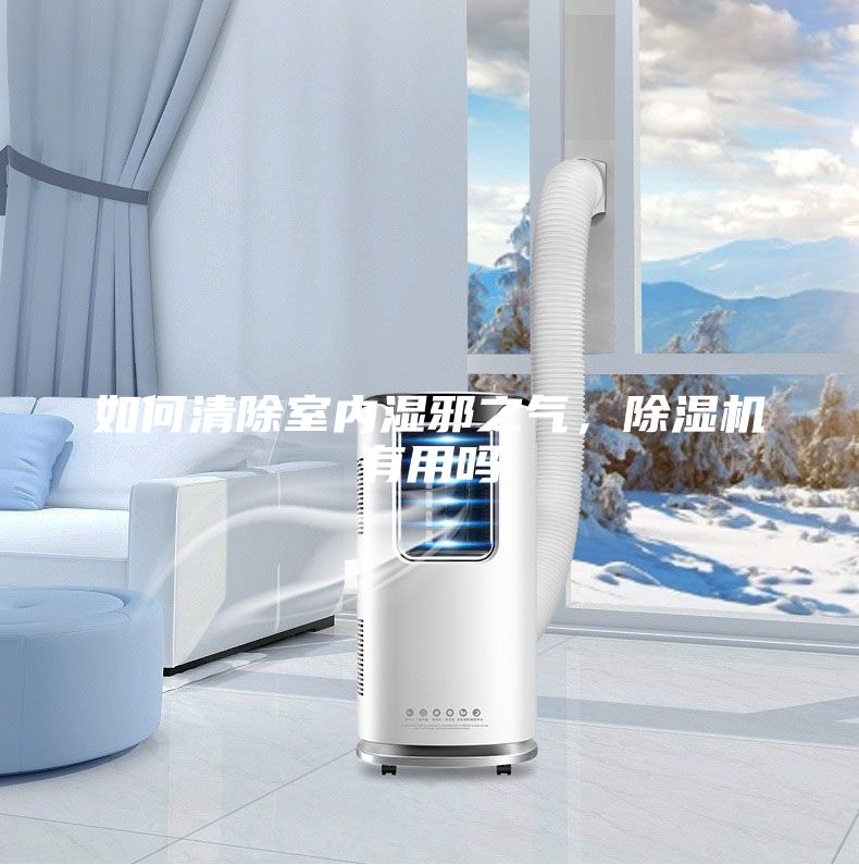 如何清除室內濕邪之氣，除濕機有用嗎