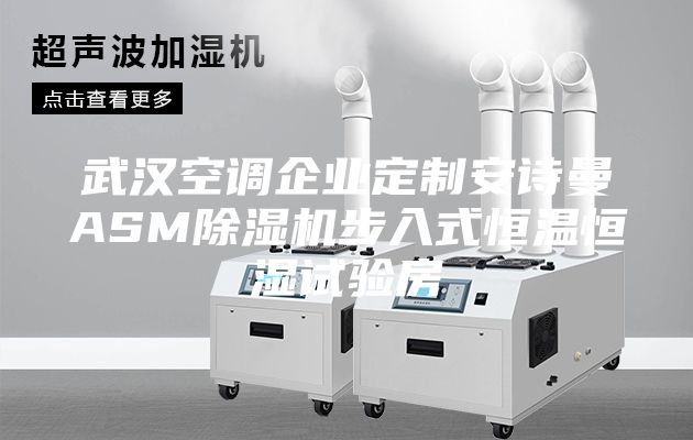 武漢空調(diào)企業(yè)定制安詩曼ASM除濕機步入式恒溫恒濕試驗房