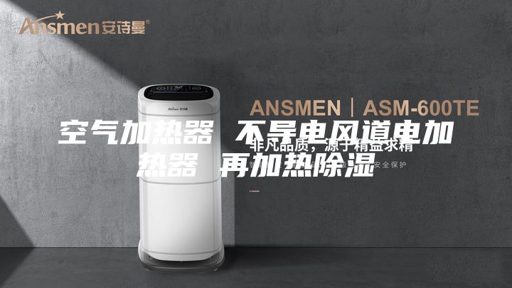 空氣加熱器 不導(dǎo)電風(fēng)道電加熱器 再加熱除濕
