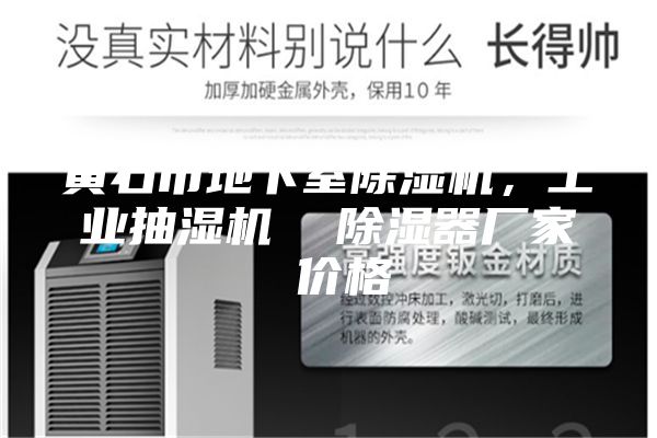 黃石市地下室除濕機，工業抽濕機  除濕器廠家 價格