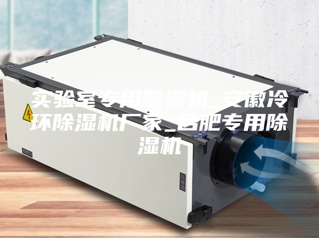 實(shí)驗(yàn)室專用除濕機(jī)_安徽冷環(huán)除濕機(jī)廠家_合肥專用除濕機(jī)