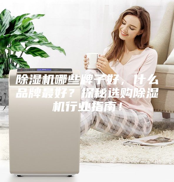 除濕機哪些牌子好，什么品牌最好？探秘選購除濕機行業指南！