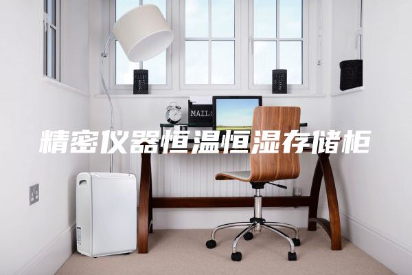 精密儀器恒溫恒濕存儲(chǔ)柜