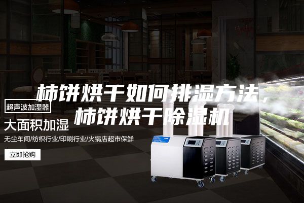 柿餅烘干如何排濕方法，柿餅烘干除濕機(jī)