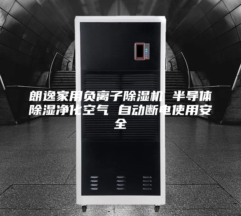 朗逸家用負離子除濕機 半導體除濕凈化空氣 自動斷電使用安全