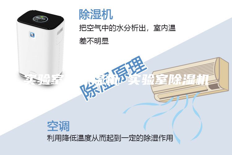 實(shí)驗(yàn)室用除濕機(jī) 實(shí)驗(yàn)室除濕機(jī)