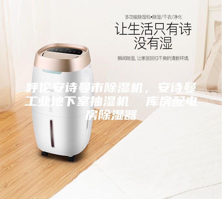 呼倫安詩曼市除濕機，安詩曼工業地下室抽濕機  庫房配電房除濕器