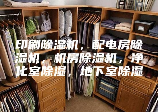 印刷除濕機，配電房除濕機，機房除濕機，凈化室除濕，地下室除濕