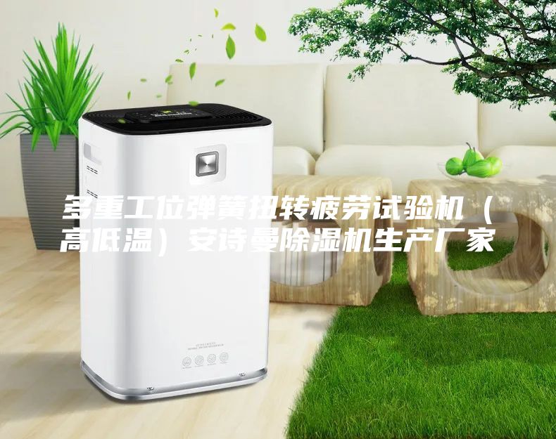 多重工位彈簧扭轉(zhuǎn)疲勞試驗(yàn)機(jī)（高低溫）安詩曼除濕機(jī)生產(chǎn)廠家